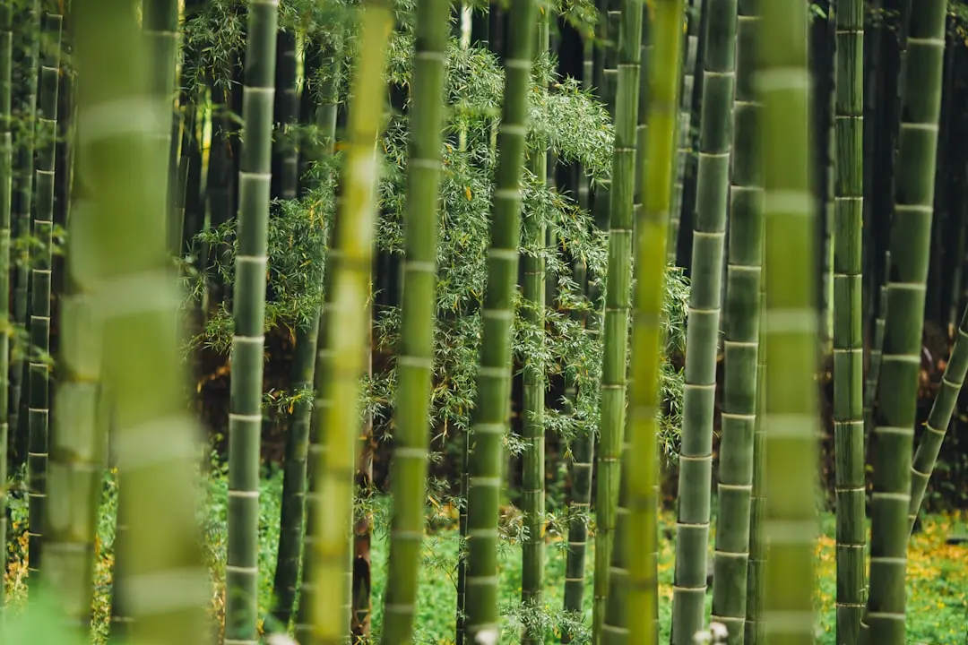 重庆企业文档管理系统选型对比：芯奇科技与主流软件功能差异分析