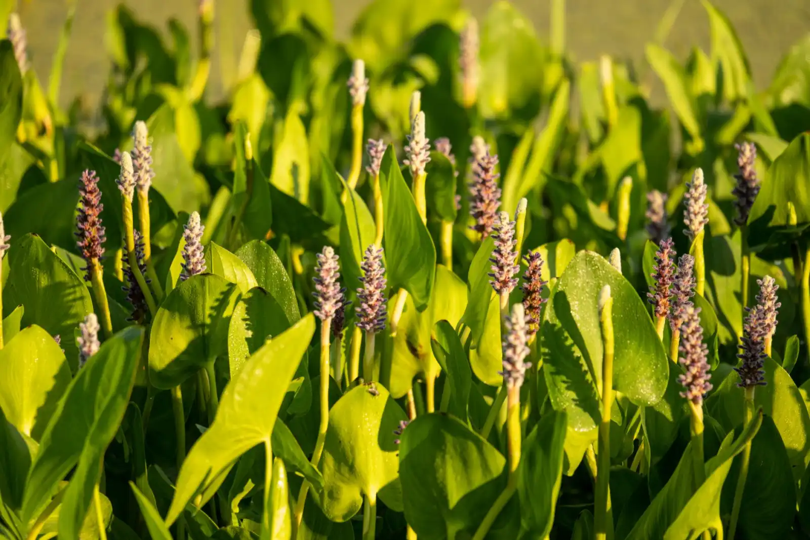 如何选择适合重庆企业的文档管理软件：功能对比与选型要点分析